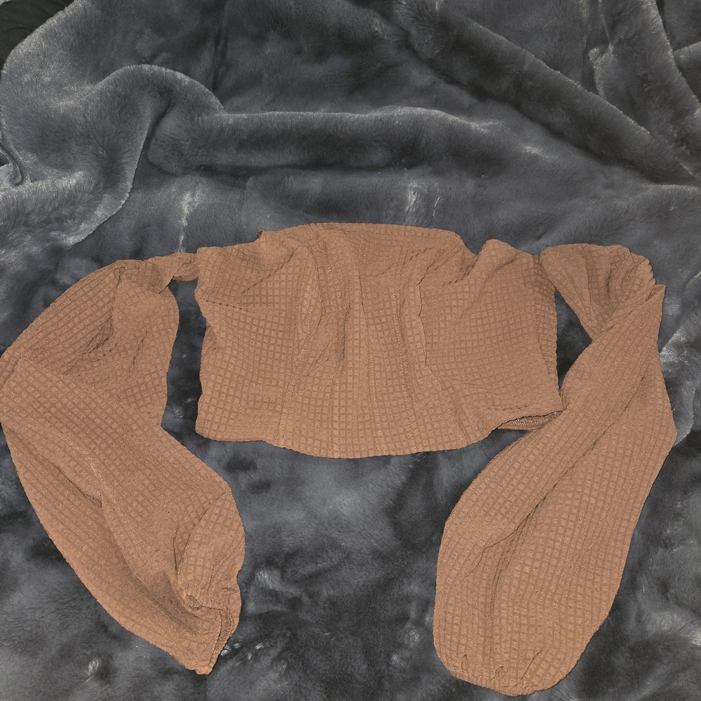 Wild Fable Brown Textured Top